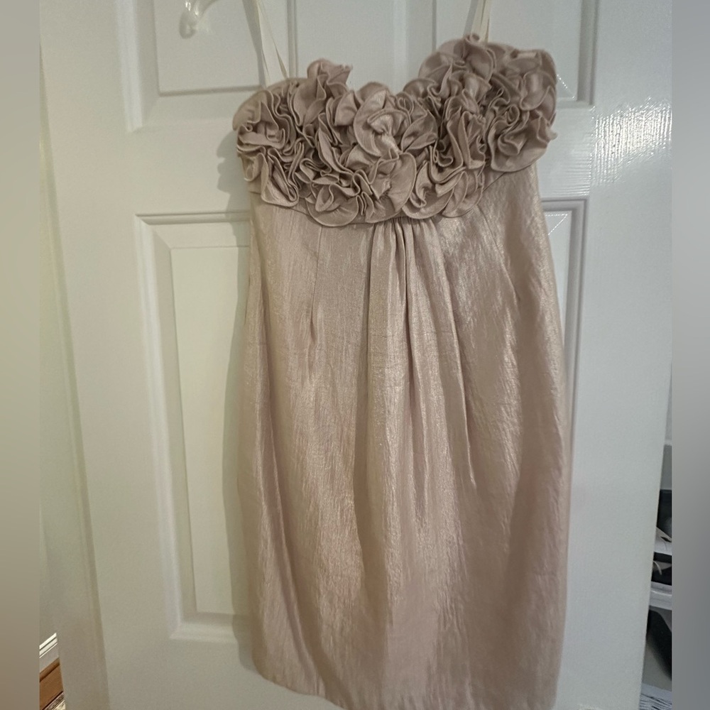 Boston Proper champagne colored strapless dress. Size small